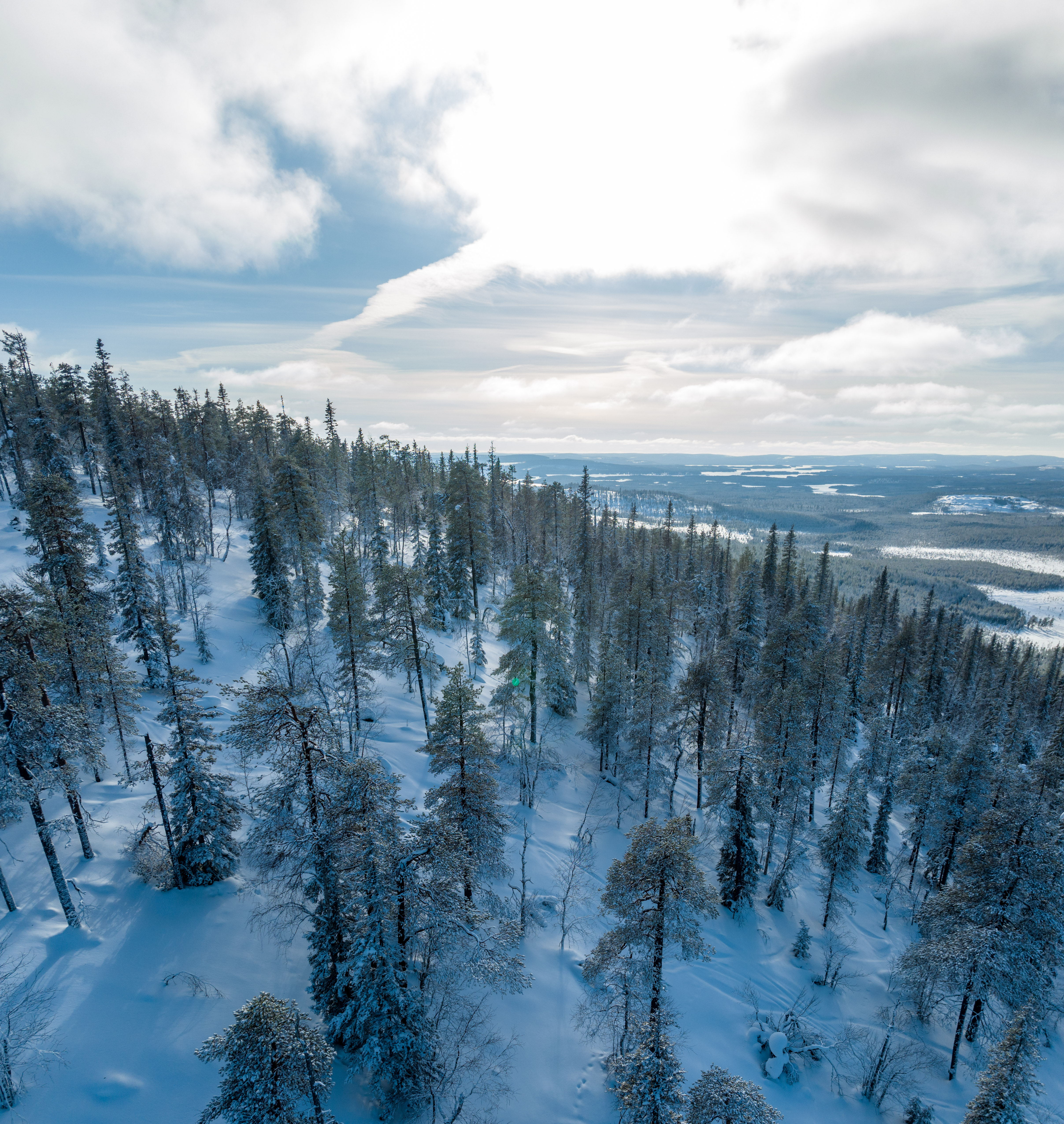 Winter panorama over forests and lakes around Suomu