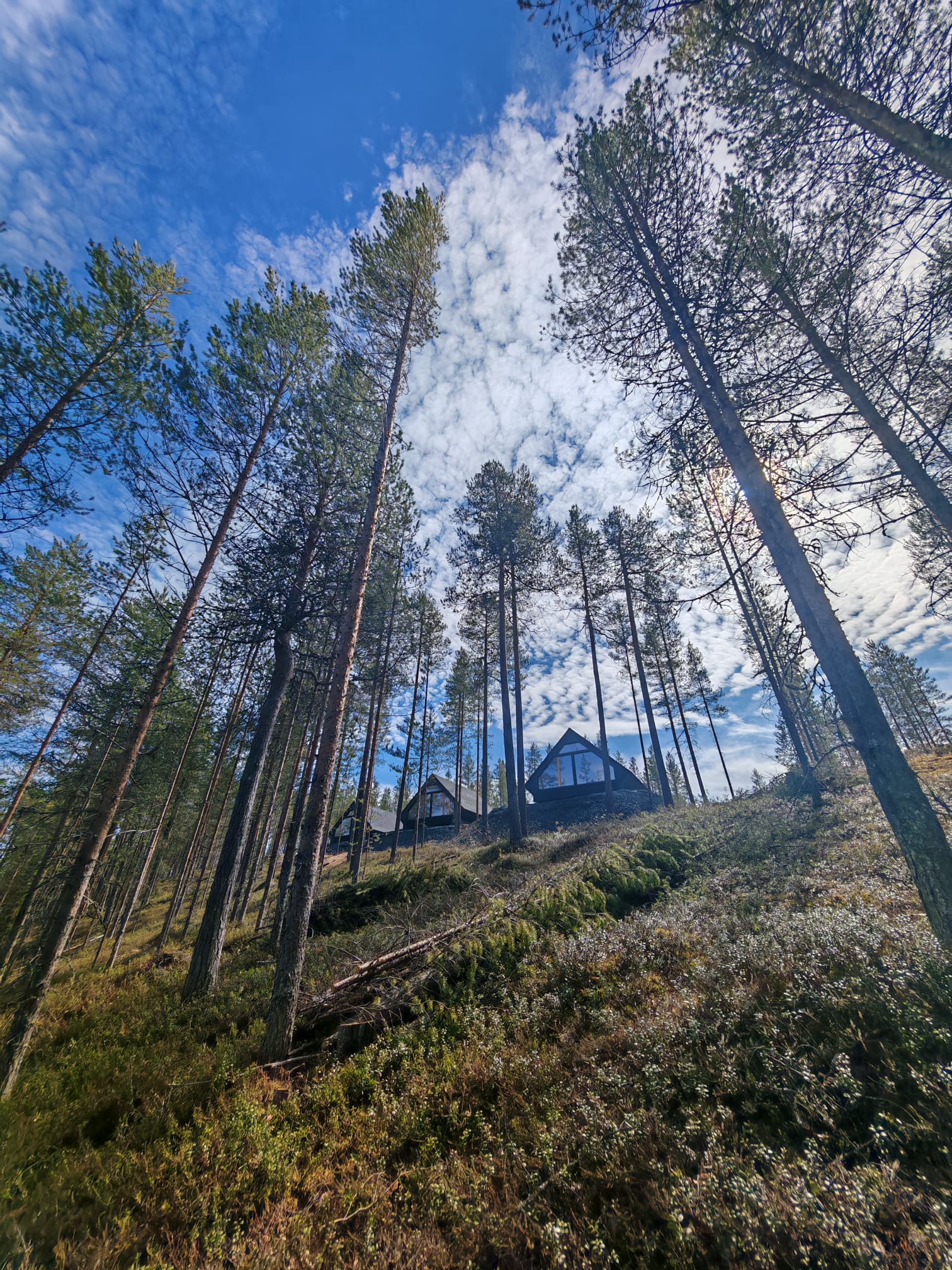 Hera Resort Hütten an einem Waldhang in Kemijärvi
