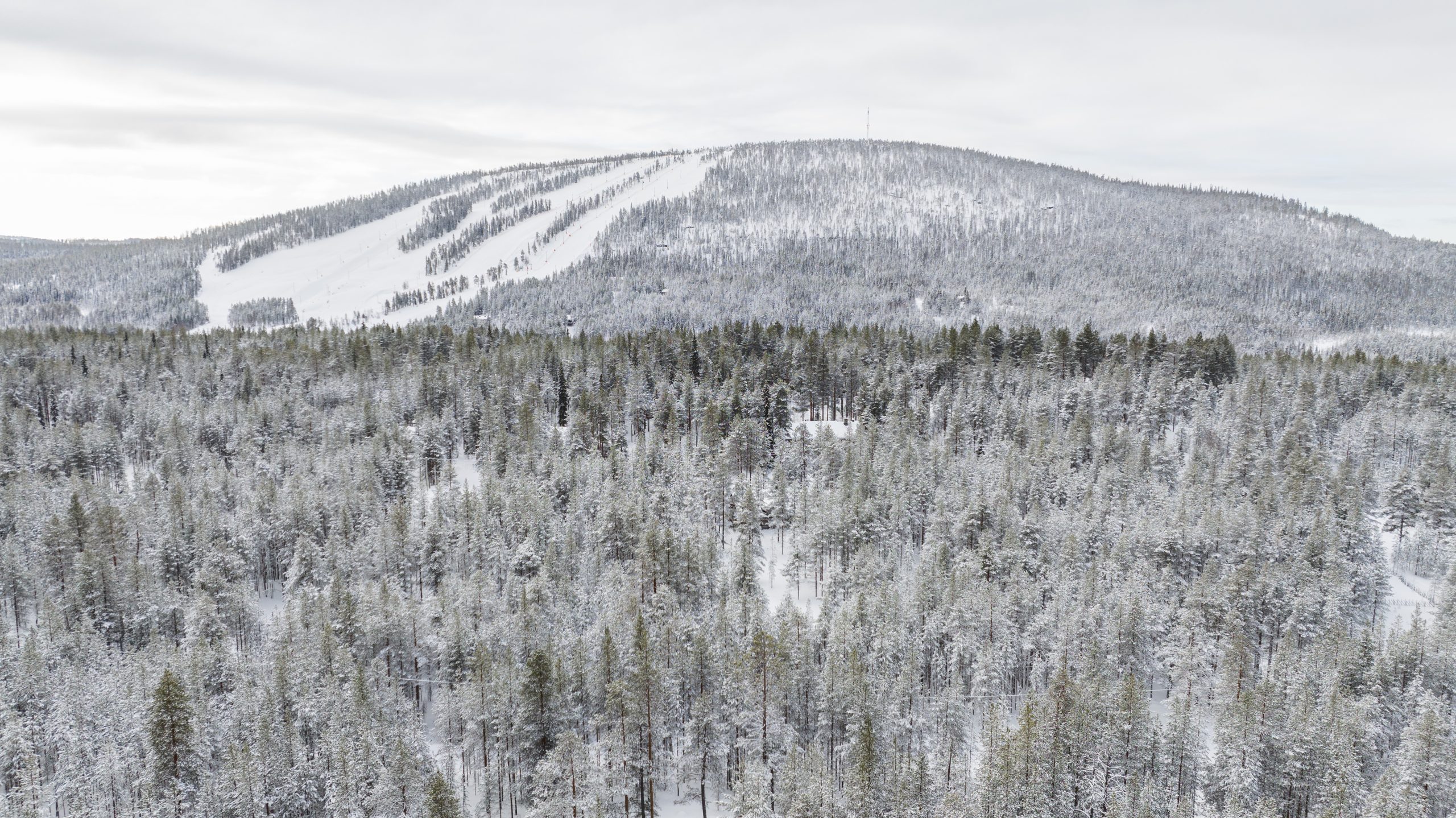 Talvinen ilmakuva Suomutunturista ja lumisesta metsästä