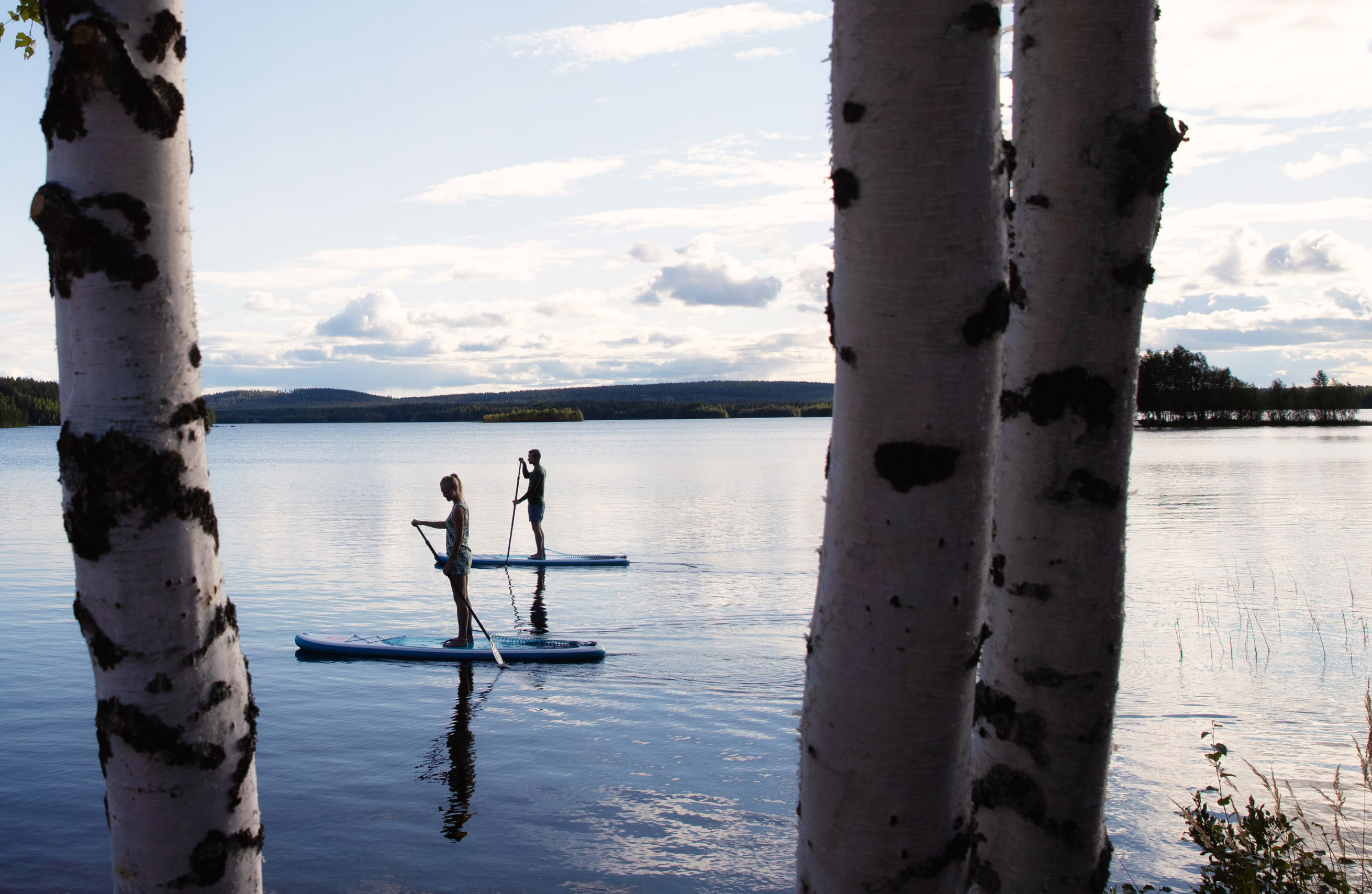 SUP-lautailija järvimaisemassa koivujen takana